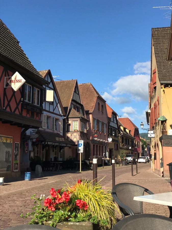 Gite Les Remparts De Turckheim Ngoại thất bức ảnh